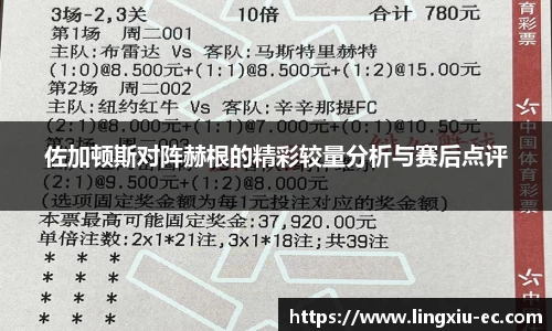 佐加顿斯对阵赫根的精彩较量分析与赛后点评